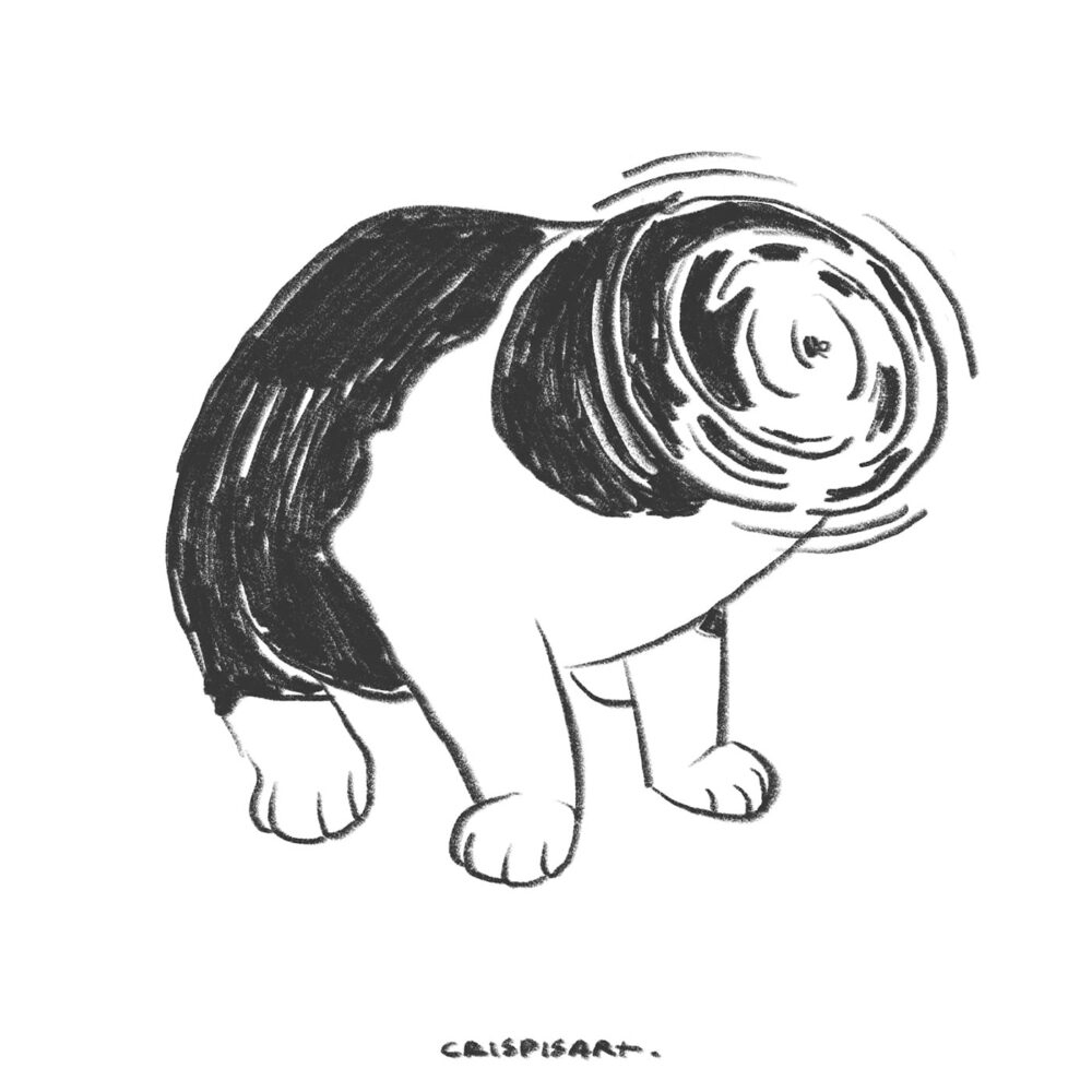 No Head Cat art print features a black and white abstract cat with a clear body and a spiral-blurred face, topped off with the CrispIsArt signature at the bottom.